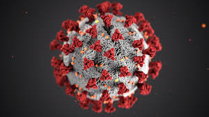 What does “virus” really mean? A pandemic etymology
